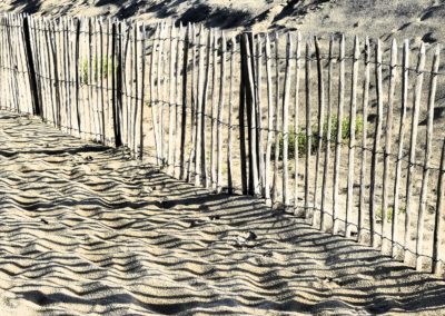 Dünenschutz an der französischen Atlantikküste